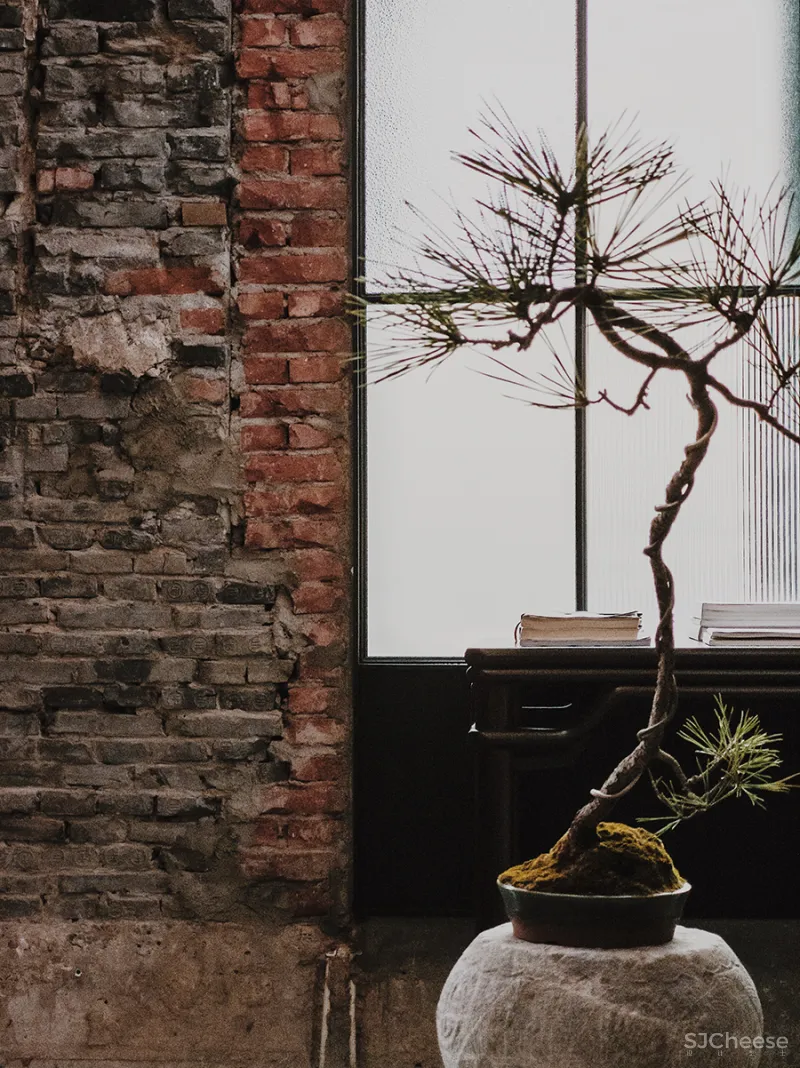 LJ 探店｜廷泰茶空间｜一个懂茶爱茶之人，斥资千万打造而来