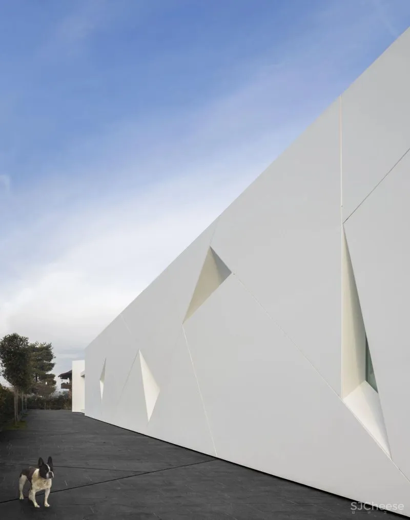 3ndy Studio丨意大利‘钻石’住宅Diamond Tree