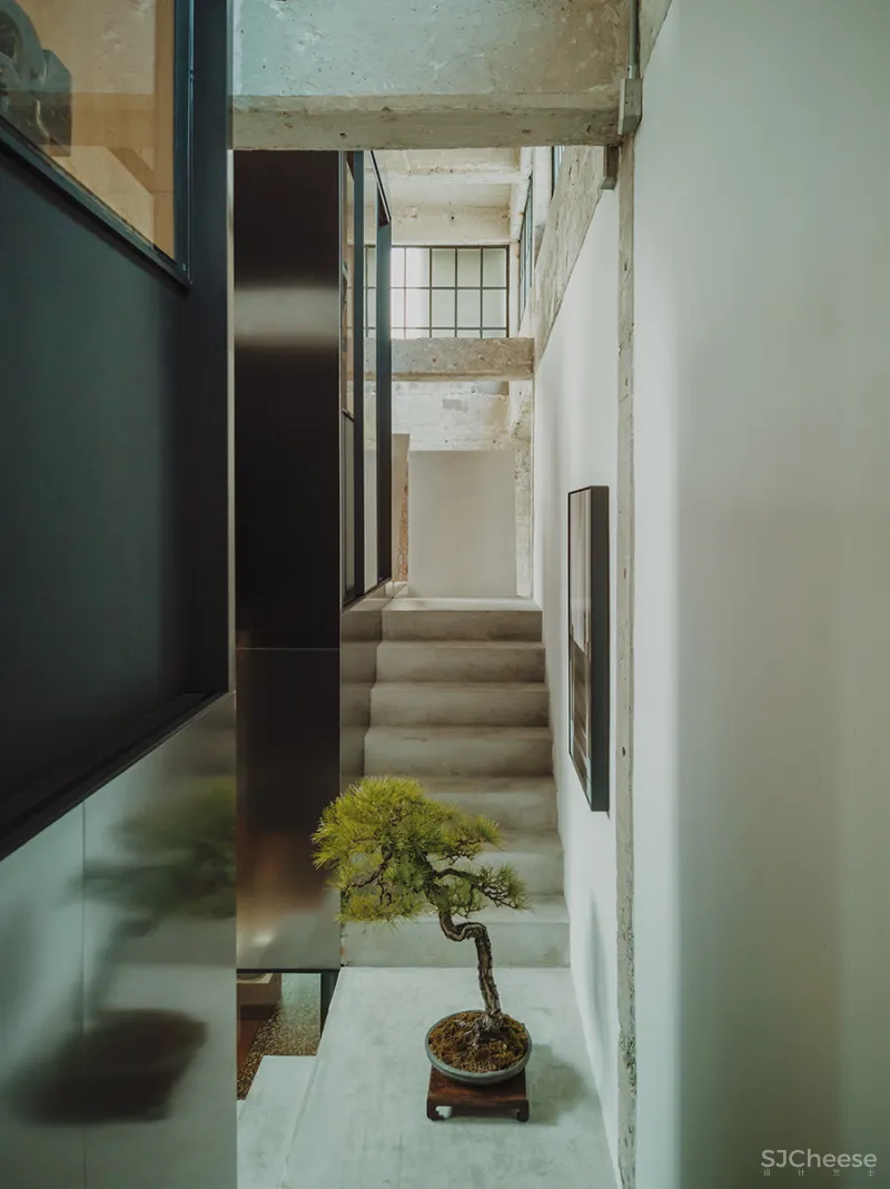 LJ 探店｜廷泰茶空间｜一个懂茶爱茶之人，斥资千万打造而来