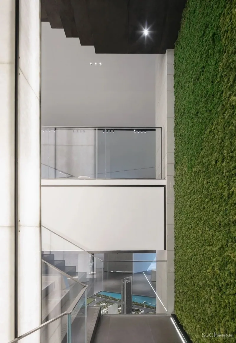 翘首眺江汉,低头见彩虹 DIA丹健国际