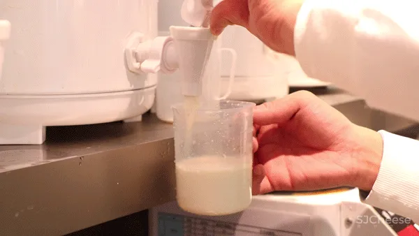 季意设计：天然呆 · NATURALV