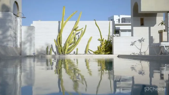 设计师夫妇的极简私宅，屋顶花园设计得太仙了！