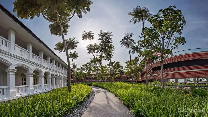 嘉佩乐Capella酒店:“ 城市度假”的理想模样