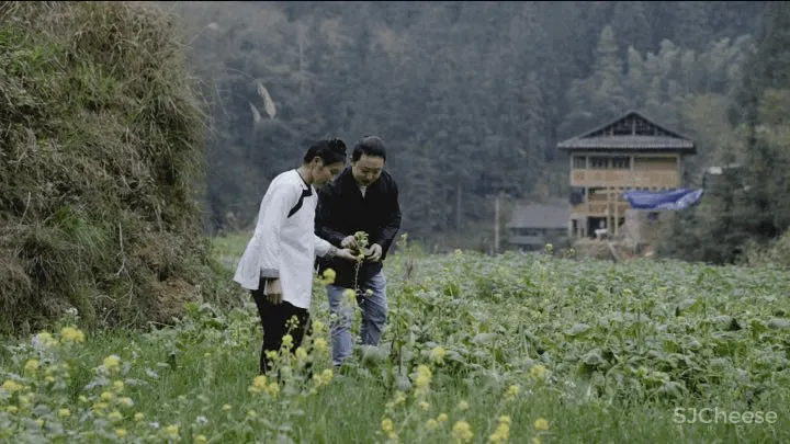 与外界断联也能过神仙日子,百位人类学者青睐的桃花源