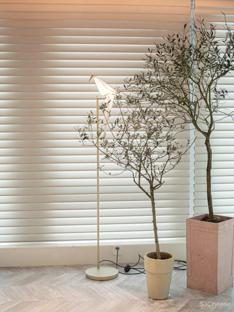 温暖初春 奶油色的家