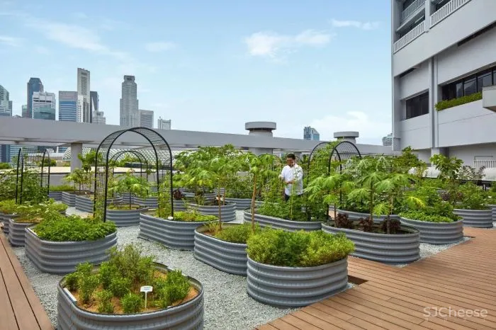 波特曼生前设计的酒店,中庭变花园,亲生物设计的典范