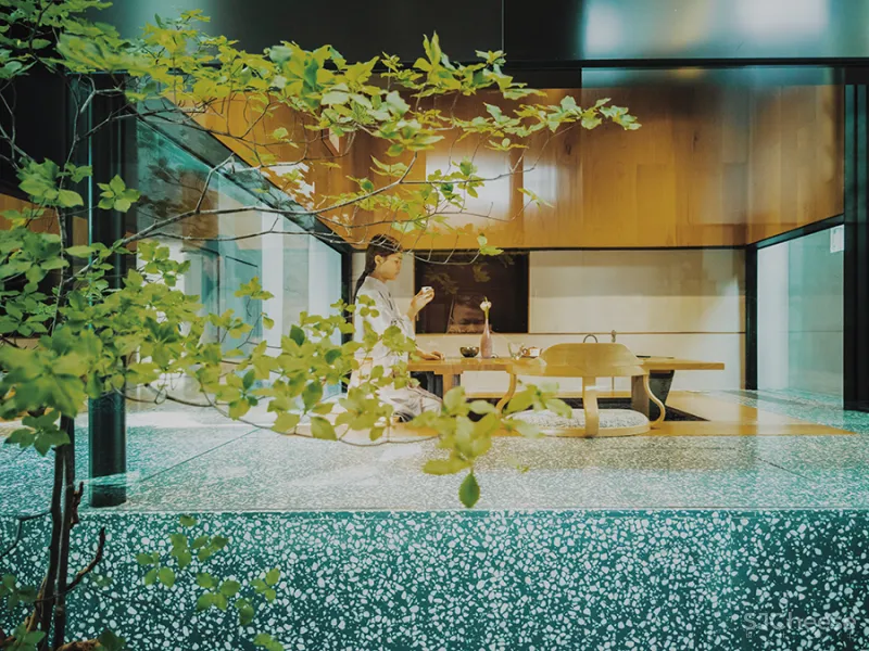 LJ 探店｜廷泰茶空间｜一个懂茶爱茶之人，斥资千万打造而来