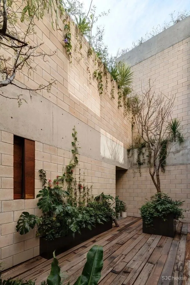 “下沉式”庭院来袭,比传统院子更实用!