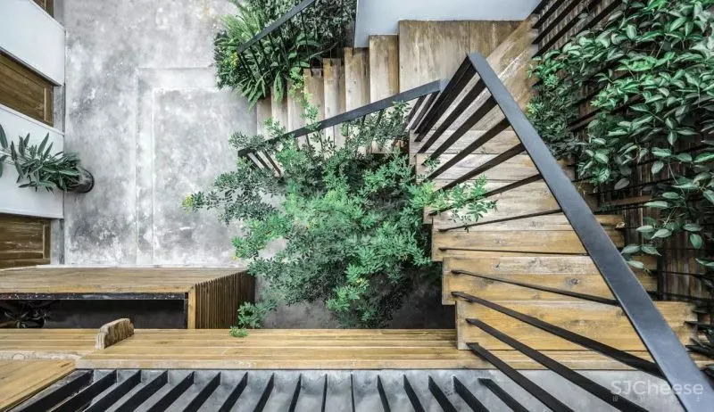 “下沉式”庭院来袭,比传统院子更实用!