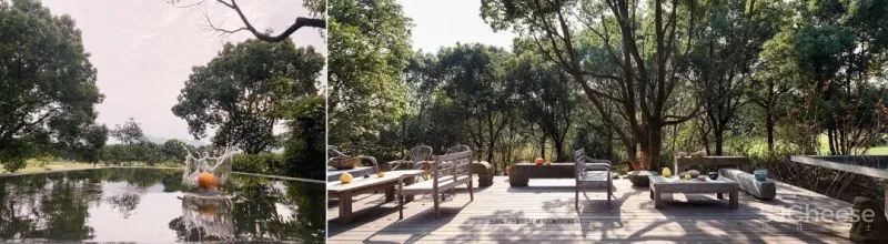 陈耀光：诗意栖居，在光合院里触摸惊喜和生命的鲜活