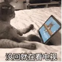 90㎡也能凹出豪宅范儿，还要什么自行车？？