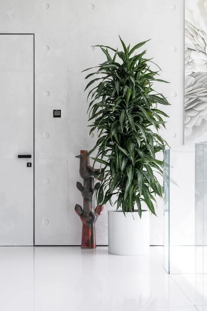 致敬安藤忠雄!5000㎡极简豪宅,用3万吨土“垫高“5米,只为看个风景?