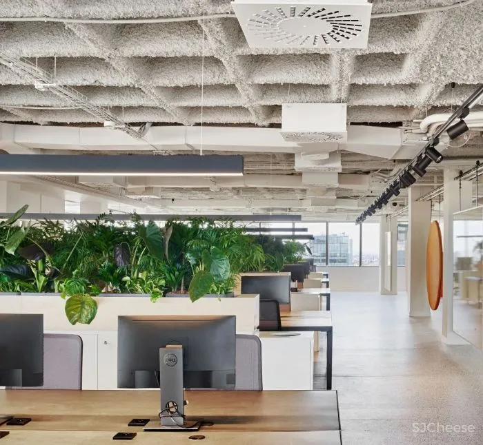 办公区的色彩艺术