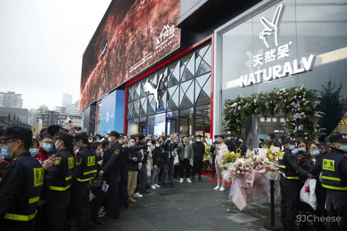 季意设计：天然呆 · NATURALV