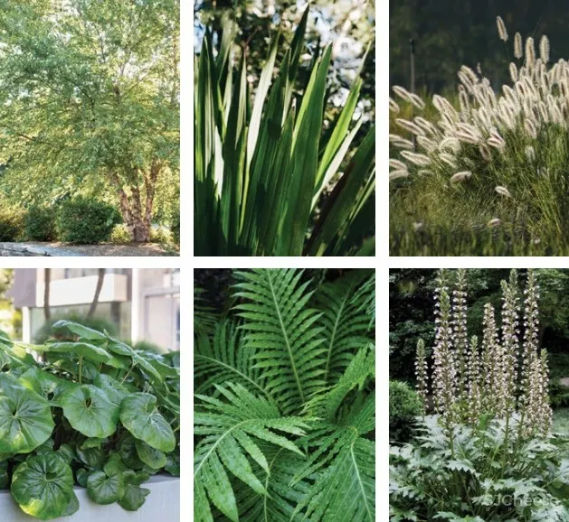 超小的公寓楼,有质感的精装更有腔调