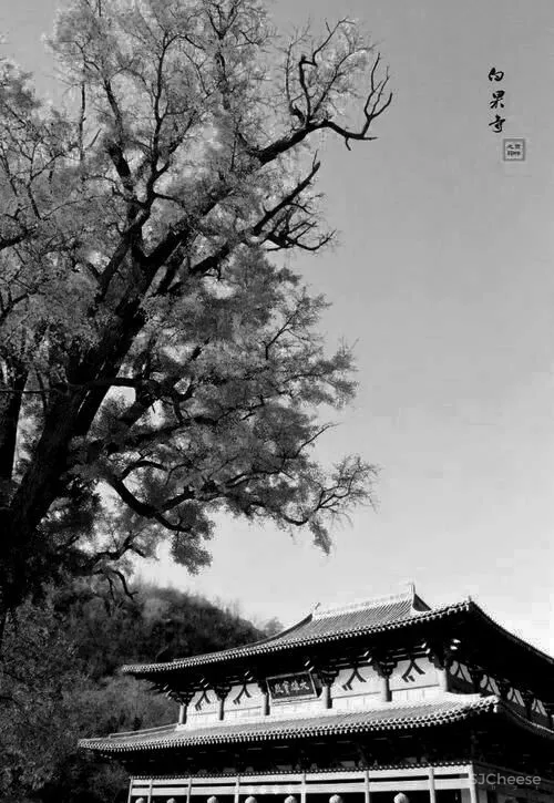 AI DESIG Somewhere In Time 石家庄.富力城