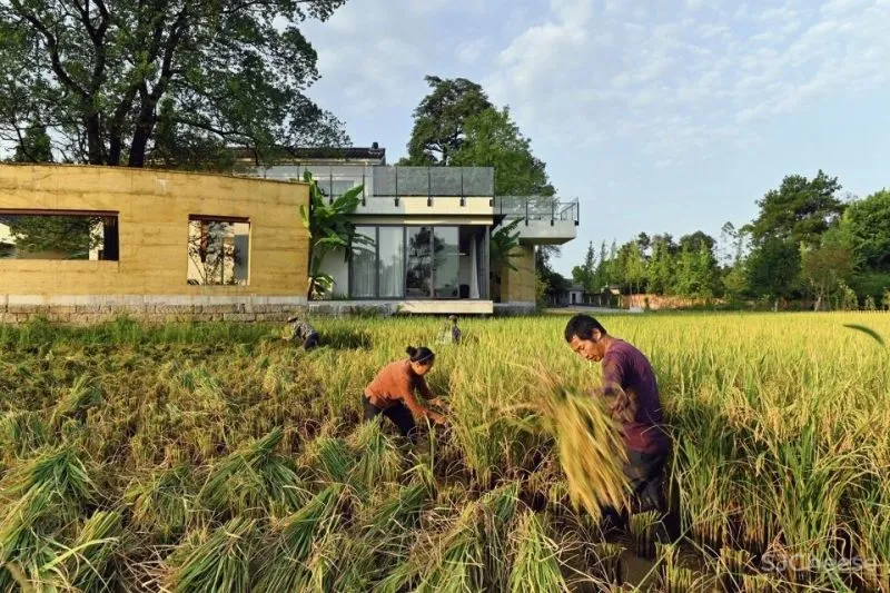 稻田里的家 园中有屋,屋中有院