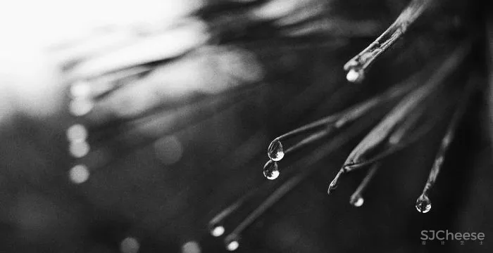 292㎡春城大平层,充满诗意的现代轻奢格调 美纵设计