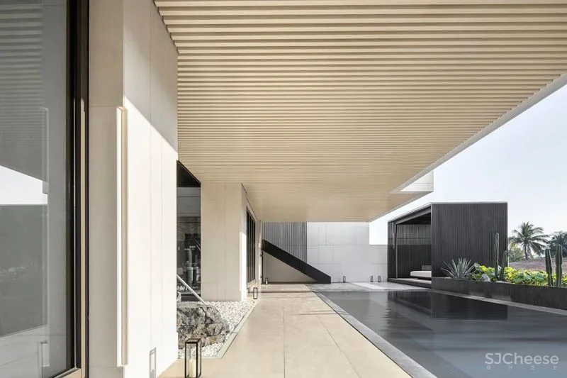 唐忠汉 有一种治愈，叫三亚！