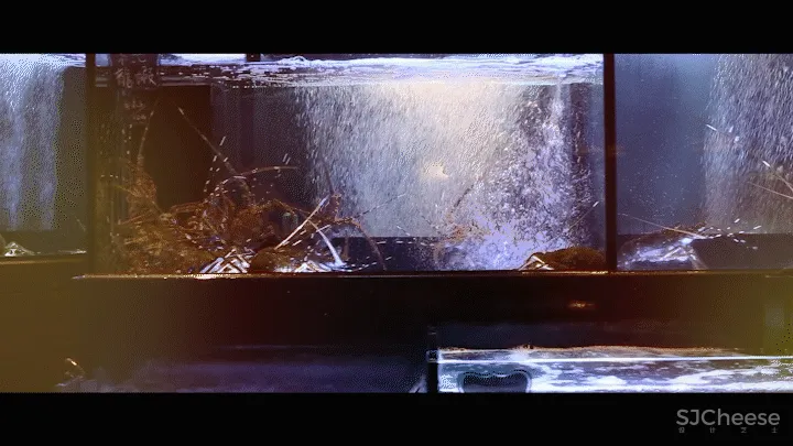 KCA 德坚设计 香港赛马会里的上流百汇宴