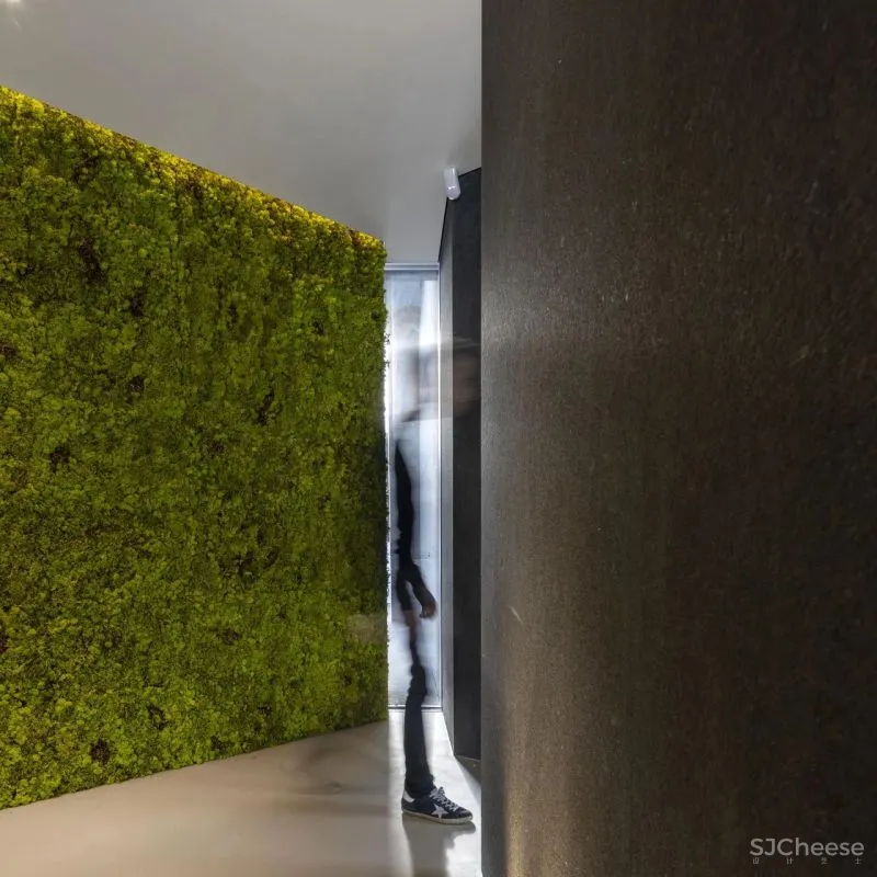 3ndy Studio丨意大利‘钻石’住宅Diamond Tree