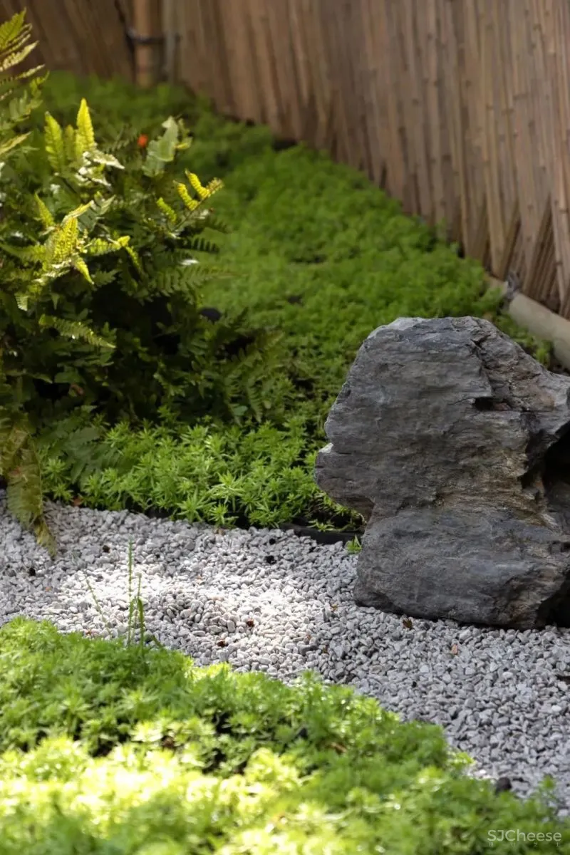 风和树影，重获新生的70㎡上海老洋房 桐话空间