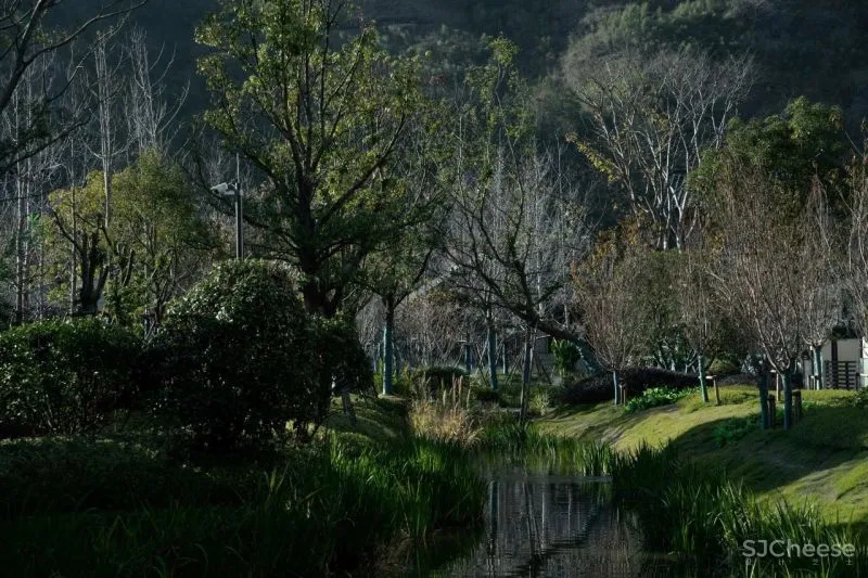 世茂 御榕·武夷度假酒店