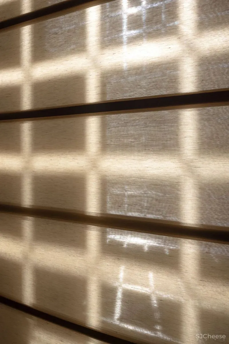 春山秋水 寿司之神嫡传弟子增田励中国内地首家!深圳植庭寿司