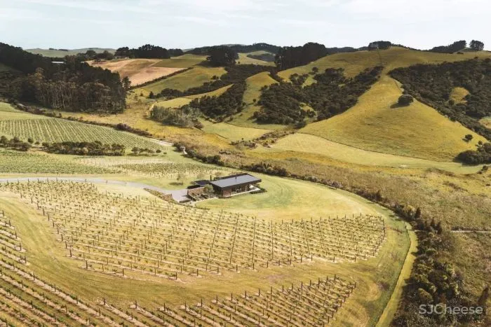 等待Cheshire Architects新西兰设计事务所-不拘泥于固定的风格!