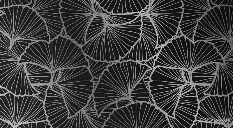 AI DESIG Somewhere In Time 石家庄.富力城