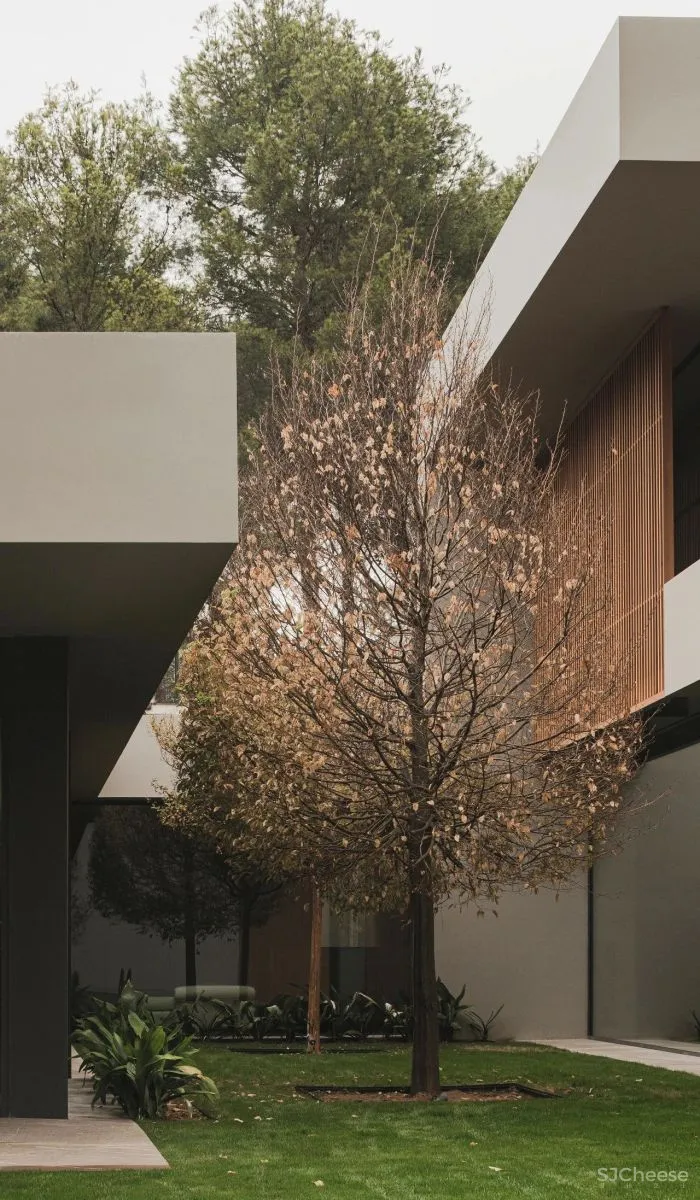 极简豪宅长啥样?51岁极简大师再次演绎经典!