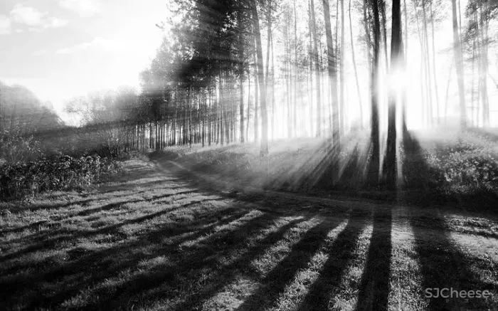 292㎡春城大平层,充满诗意的现代轻奢格调 美纵设计