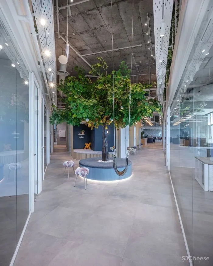 办公区的色彩艺术