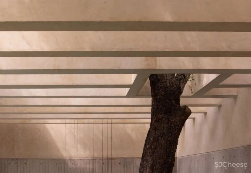 Casa Duraznos V Taller