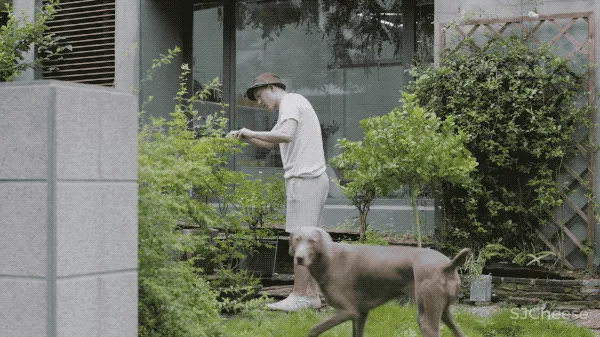 90后独居男生和他1500m²的极简住宅