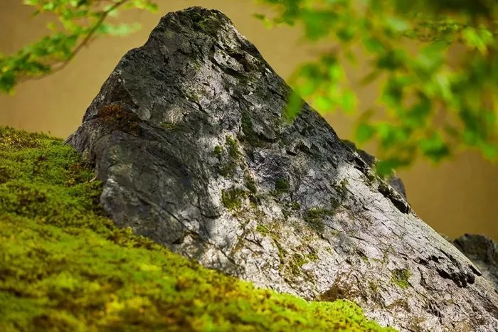 Hiroshi Nakamura京都圣岩之屋小憩