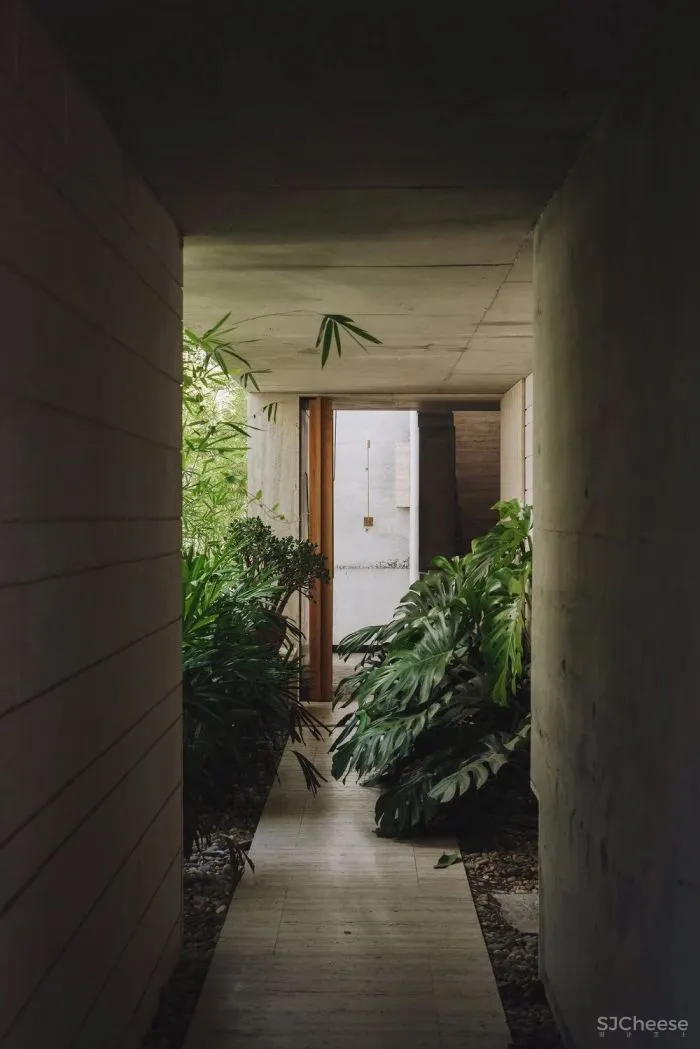 设计师夫妇的极简私宅，屋顶花园设计得太仙了！