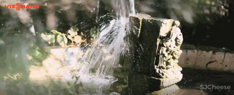 陈耀光：诗意栖居，在光合院里触摸惊喜和生命的鲜活