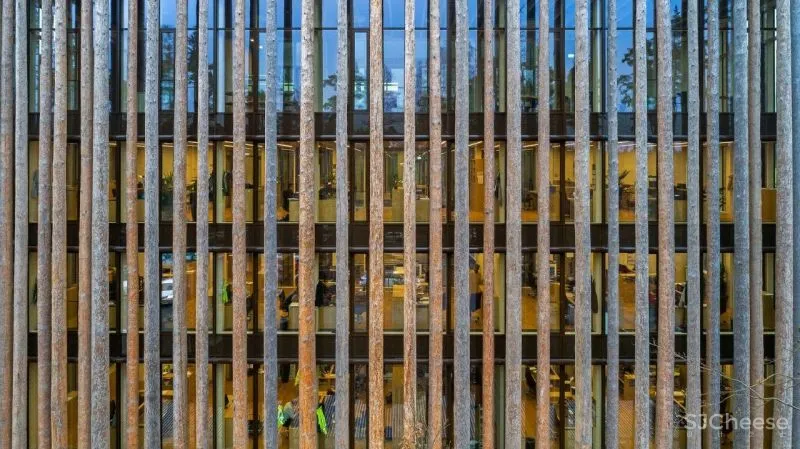 19米云杉树‘表皮’，Ziegler木材总部 Brückner - Brückner Architekten