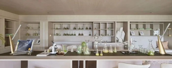 木质 肌理漆,描绘生活与办公的本真 观致设计