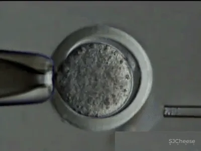 木质 肌理漆,描绘生活与办公的本真 观致设计