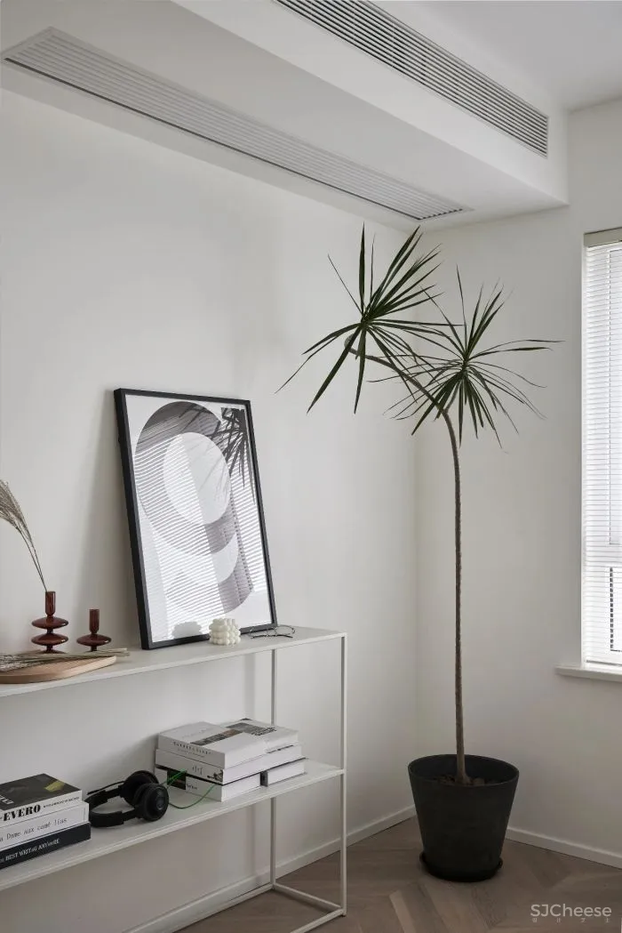 IT行业95后单身小哥哥,气质简约90m²,超撩!