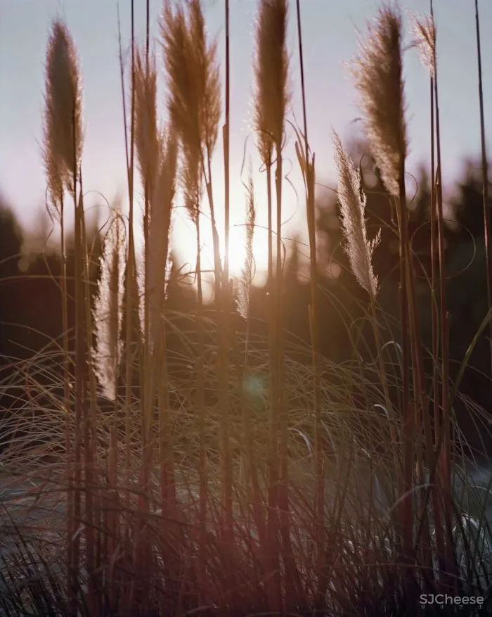 普罗旺斯百年建筑改造的精品酒店,建筑的时间感比薰衣草更迷人!
