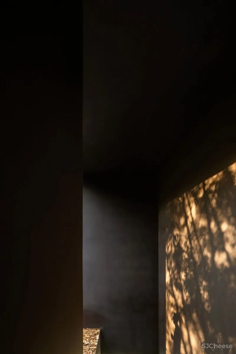 专访 墨西哥设计工作室 PPAA