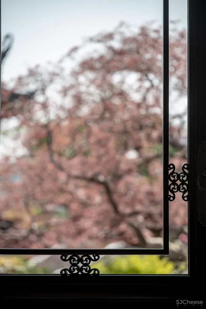 谢天 • 玫瑰园|素处以默,妙机其微—空间的非炫耀性设计