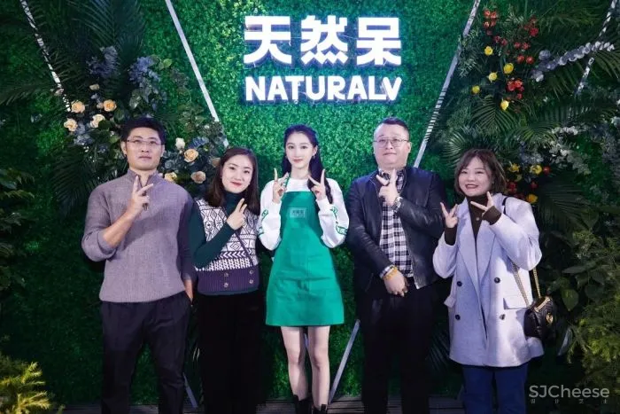 季意设计：天然呆 · NATURALV