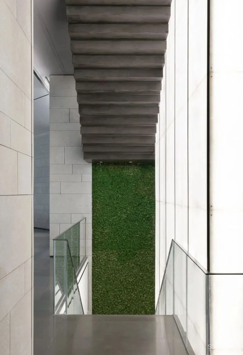 翘首眺江汉,低头见彩虹 DIA丹健国际