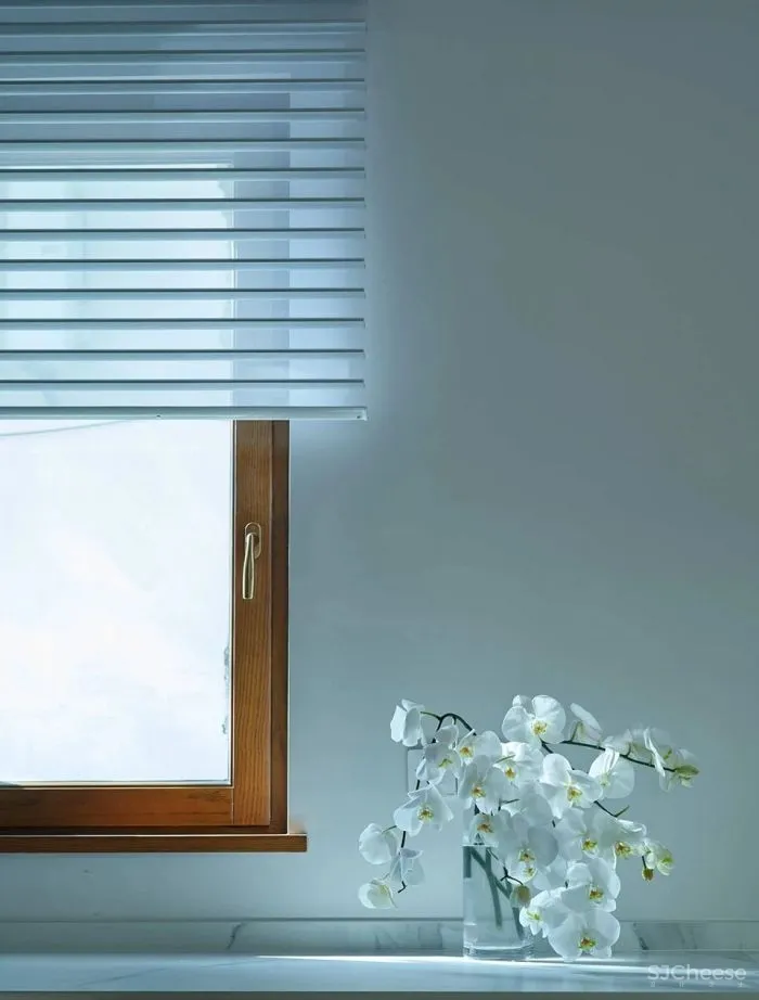 新作 静园 一次“开放”的海派老洋房改造，上海 得当设计