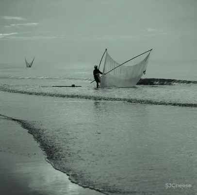 九度设计:自然美学 未来科技