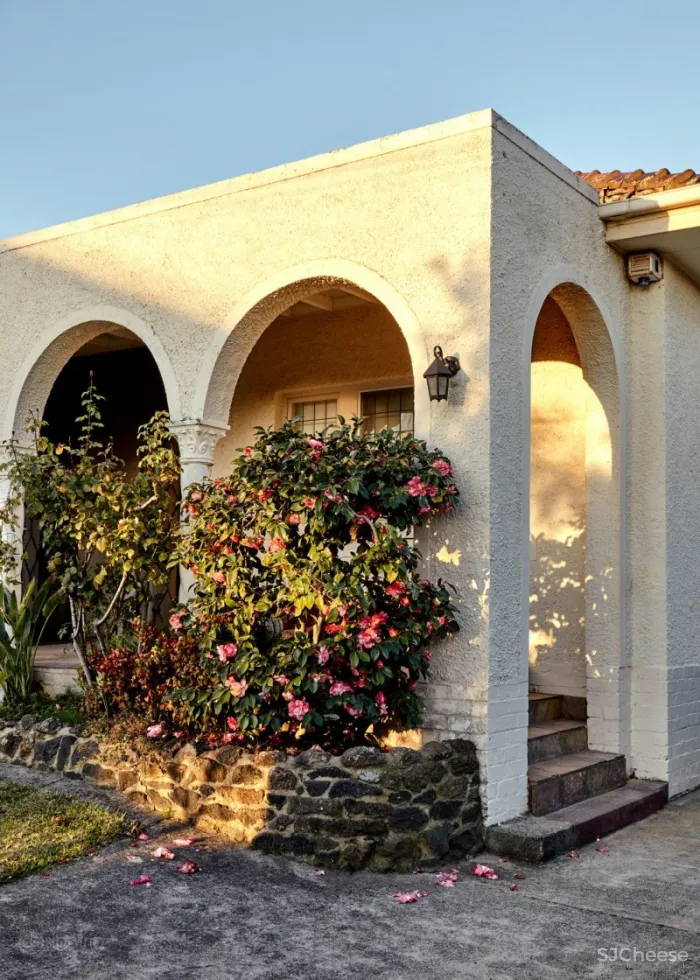 设计师自宅,流金岁月,拾光溢彩